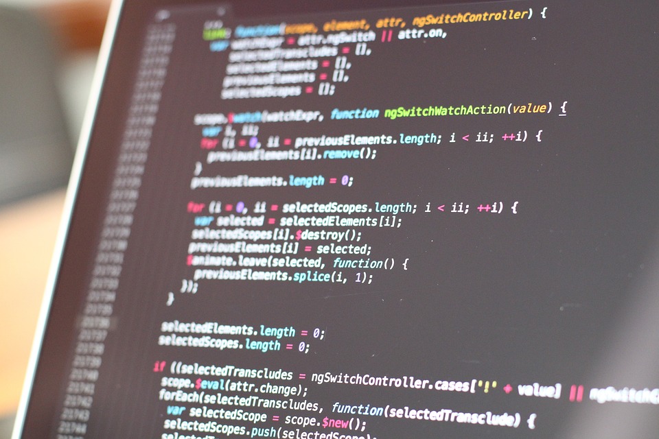 Coding 101: A Crash Course in Understanding the Language of the Future